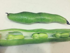 soramame