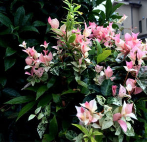 o0480046313413434444