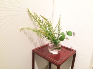 20161110220649.jpg
